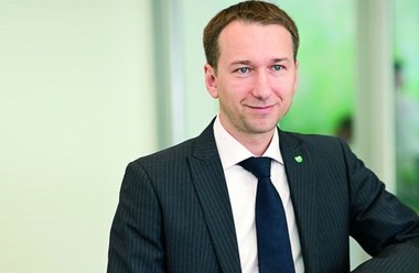 Размах крыльев