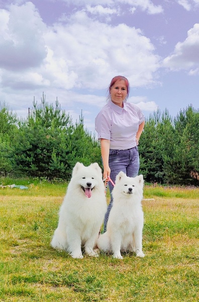 Животный мир нуждается в нашей доброте