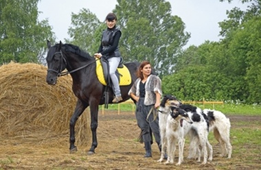 Кто здесь самый борзый?