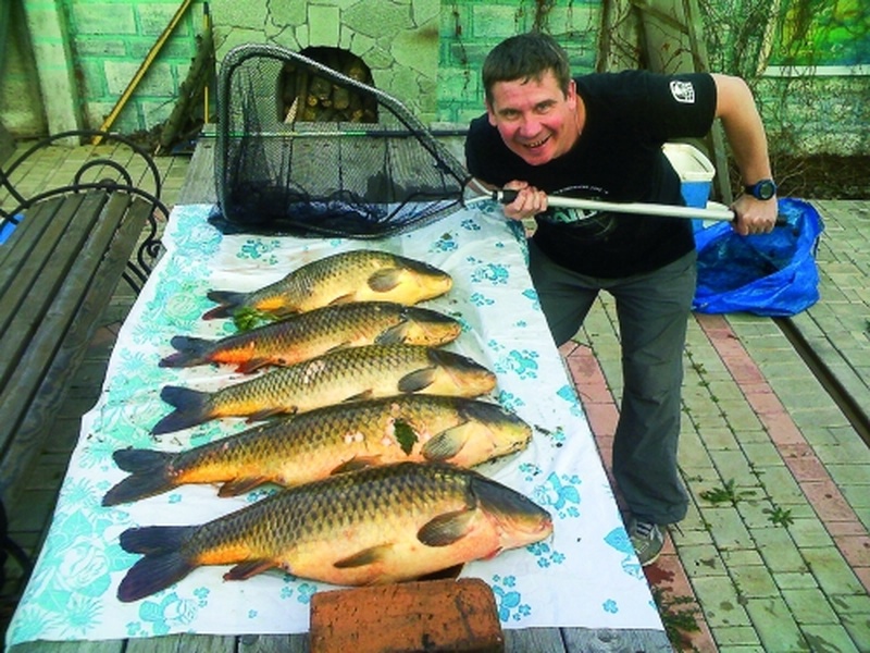 Именинник дня —  Александр Королевский